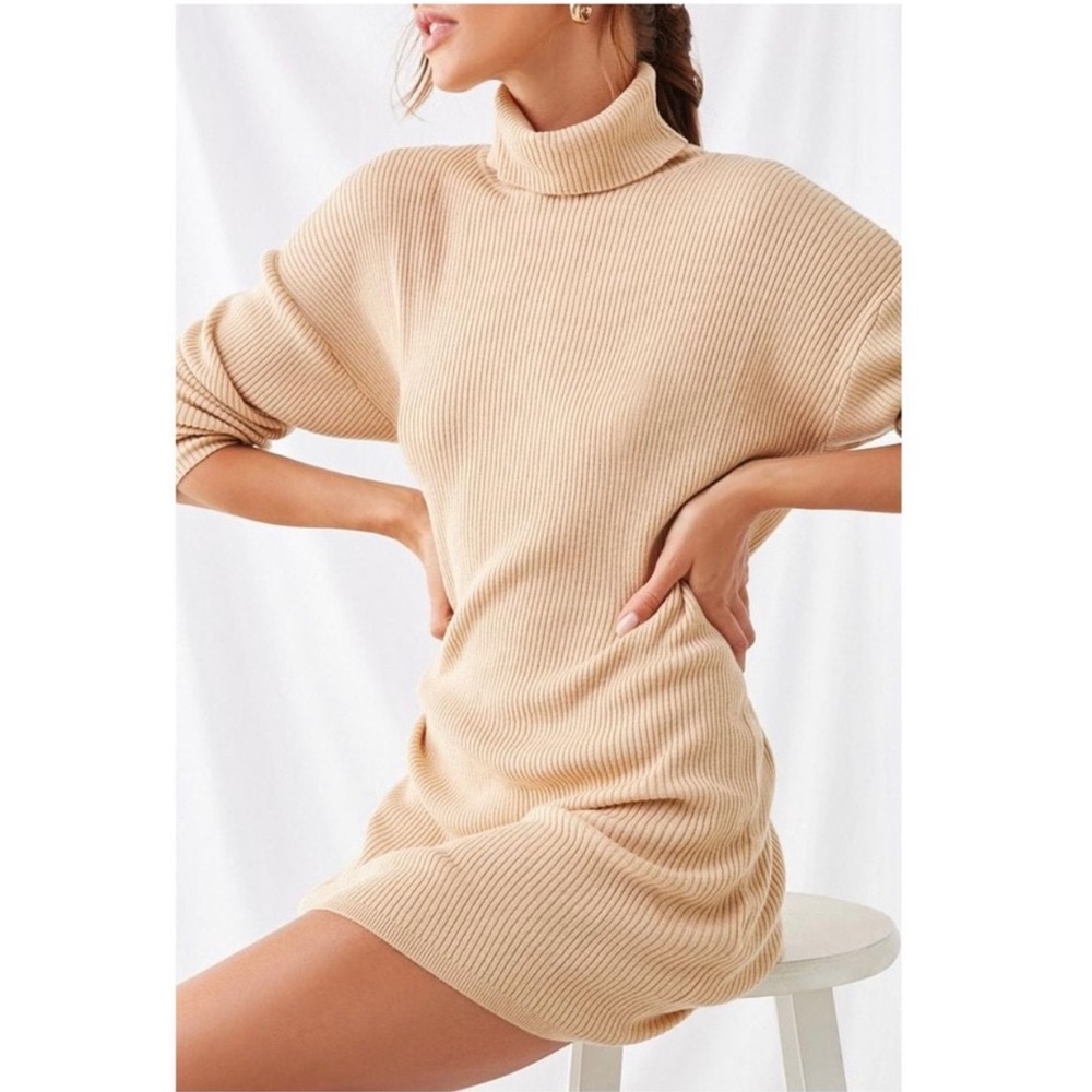 Turtle Neck Long Sleeve Dress